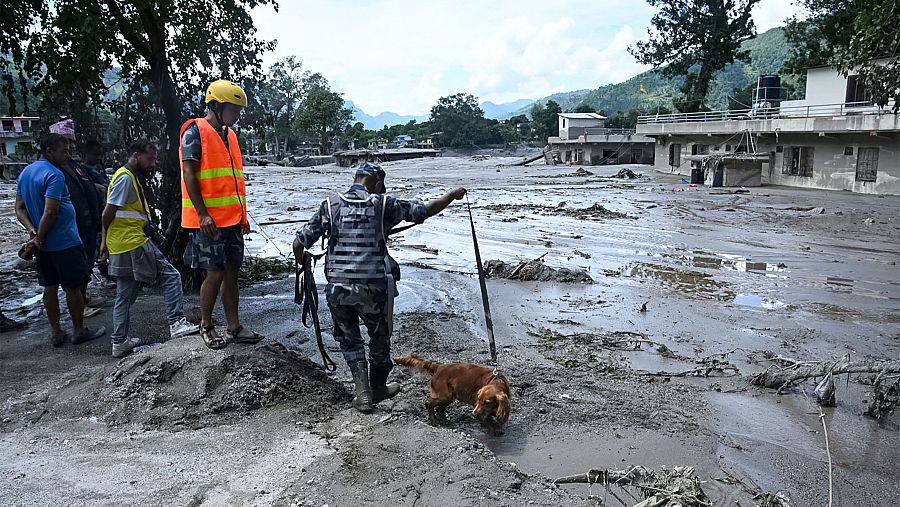 Un hombre uniformado y su perro de búsqueda inspeccionan una zona devastada por una riada en Nepal, con otros observadores y edificios dañados al fondo.
