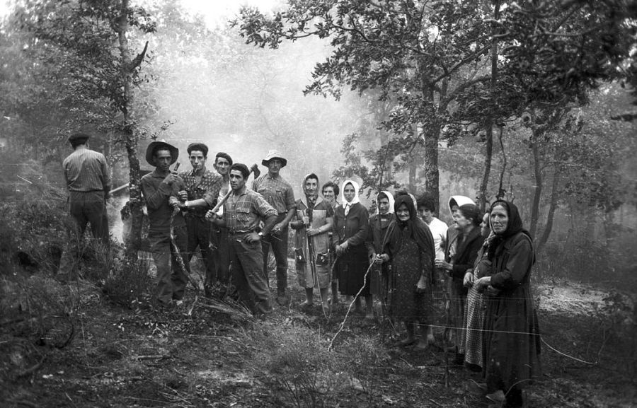 Piedad Isla (1962).