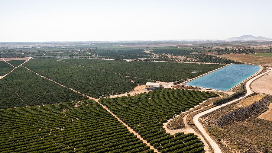 Cultivos en el Campo de Cartagena