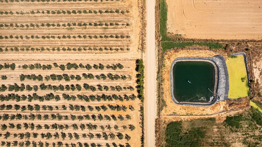 Cultivos en el entorno de Doñana