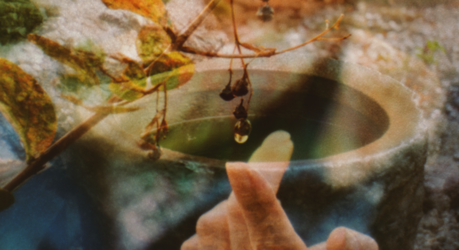 Un recipiente con agua superpuesto a la imagen de una mano y vegetación