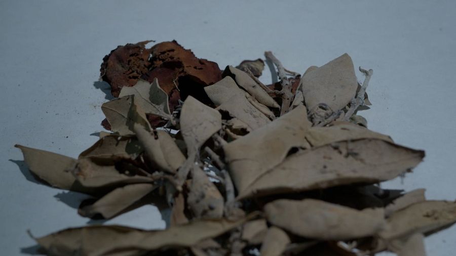 'Cuelgamuros. Entre lo difícil y lo imposible', el documental sobre las criptas del Valle