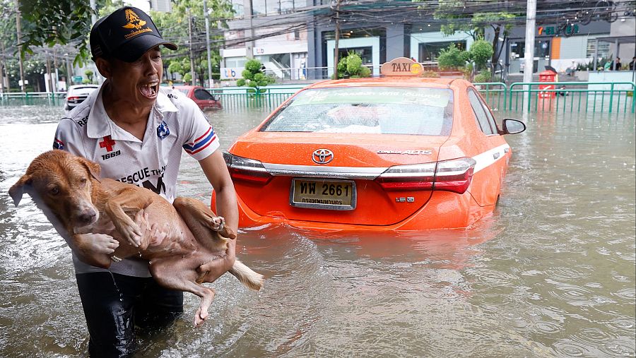 Un hombre carga una perrita por una calle inundada