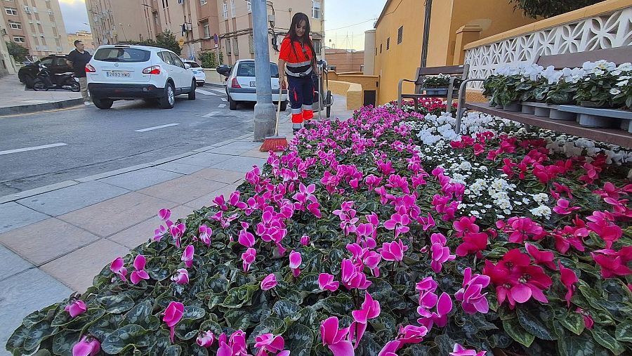 Carmen Tineo barre las calles junto a las flores que se colacarán con motivo de la visita real.