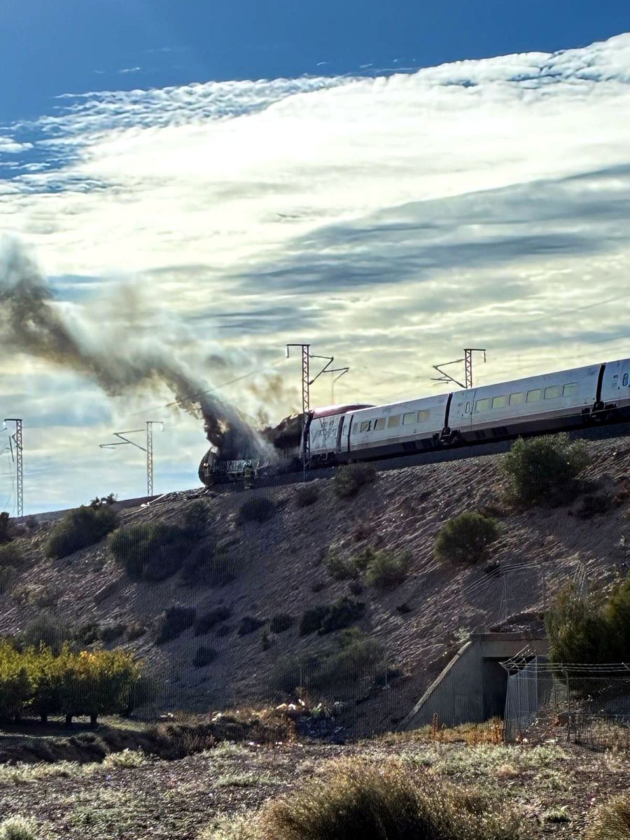 El tren AVE afectat per l'incendi a l'altura de Ricla, Saragossa