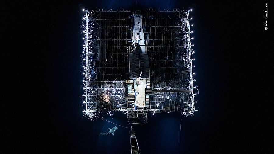 'Captura nocturna', ganadora categoría Océanos: Visión de conjunto.