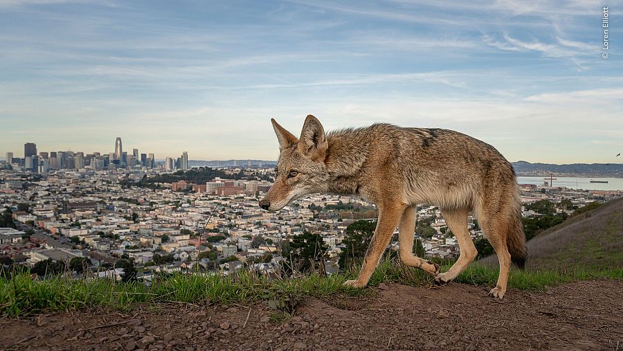 'En las afueras', ganadora Premio al reportaje fotoperiodístico.