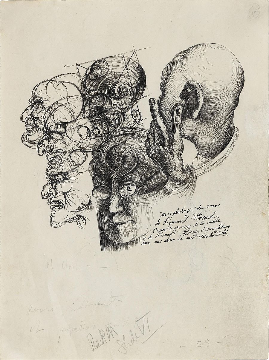 Morfología del cráneo de Freud. Ilustración para el libro 'The secret life of Salvador Dalí'
