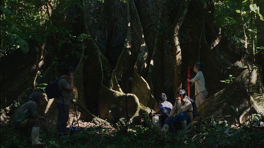 Imagen de 'Lejos de los árboles'.