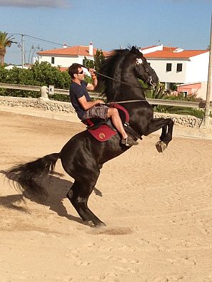 Todos se mueven al ritmo de las cavalcades, toc de fabiol y jocs de cavallers.
