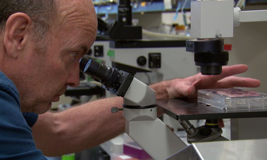 Ya es posible descifrar nuestro código genético