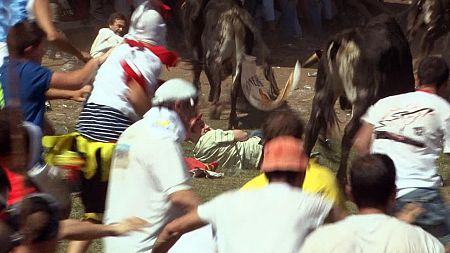 Acompañamos a sus peñas y vivimos en primera persona 'La Saca'