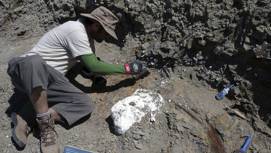 Un paleontólogo en el yacimiento del Wendiceratops