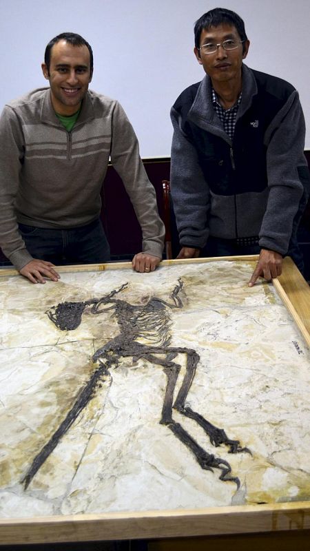 Steve Brusatte y Junchang Lu, autores del estudio, posan junto al fósil del Zhenyuanlong suni