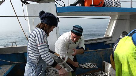 Los desconocidos del mar