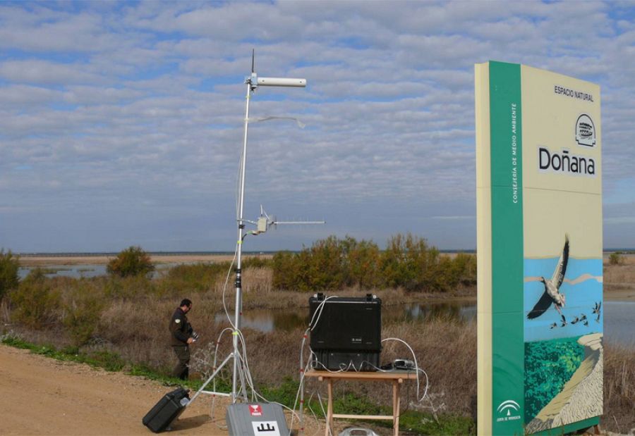 El parque de Doñana es un referente a nivel mundial