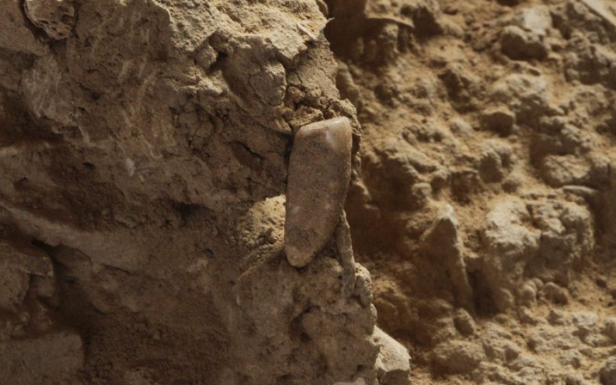 El incisivo frontal inferior, bautizado como Arago 149, se trata del resto humano 149 encontrado en ese yacimiento cercano a Perpiñán