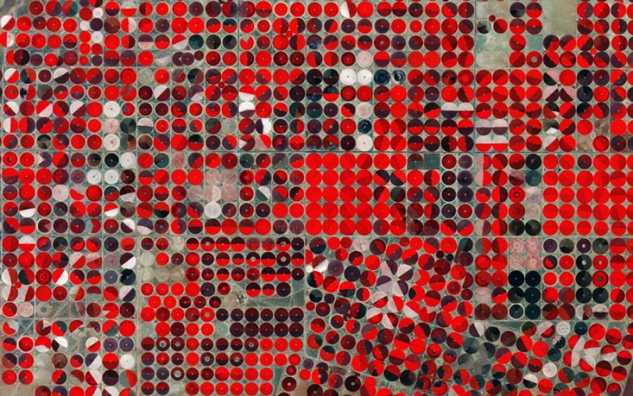 Agricultura en Arabia Saudí