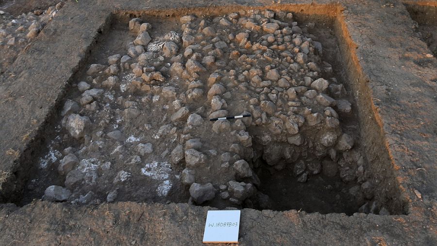 Imagen de los hallazgos en el yacimiento de Tel Zalfit
