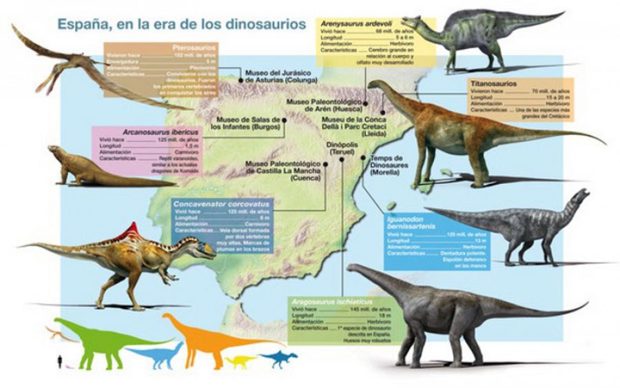 1 / 2Recreación de algunas de las principales especies de dinosaurios, reptiles voladores y lagartos que vivieron en España durante el Cretácico o el Jurásico; junto al museo donde se pueden encontrar algunos de sus restos