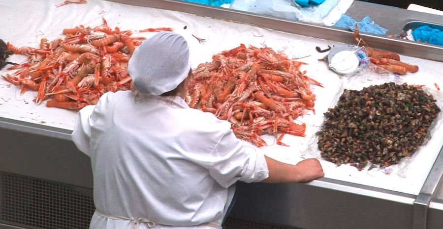 El fresquísimo marisco de Sanxenxo