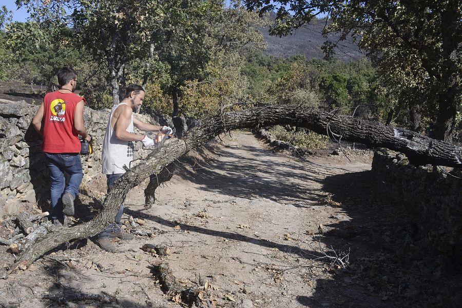 Dos vecinos de Perales del Puerto intentan despejar el camino hacia sus fincas, afectadas por las llamas del incendio forestal en la Sierra de Gata.