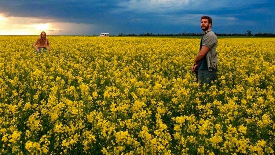 'Cut Bank', un thriller rural dirigido por Matt Shakman