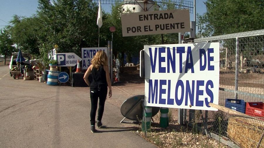 En Membrilla se recogen 80 millones de melones