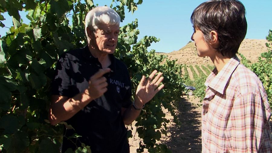 Los temporeros de Raimat, en Lleida