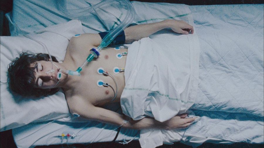 El donante de corazón Julien