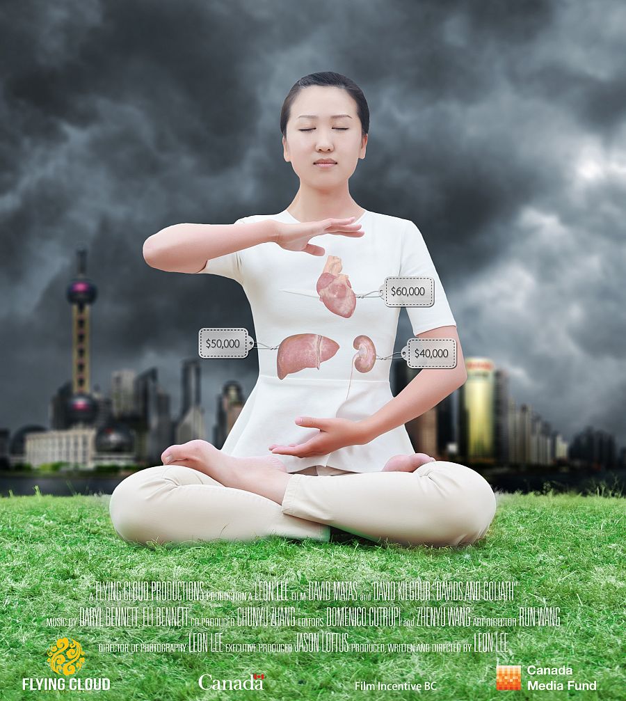 Poster del documental 