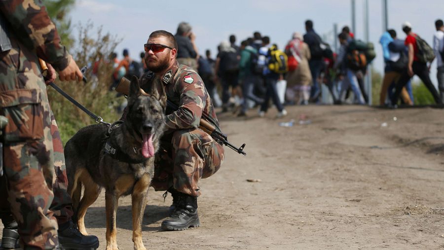 Soldados húngaros vigilan el paso de migrantes en la frontera con Serbia
