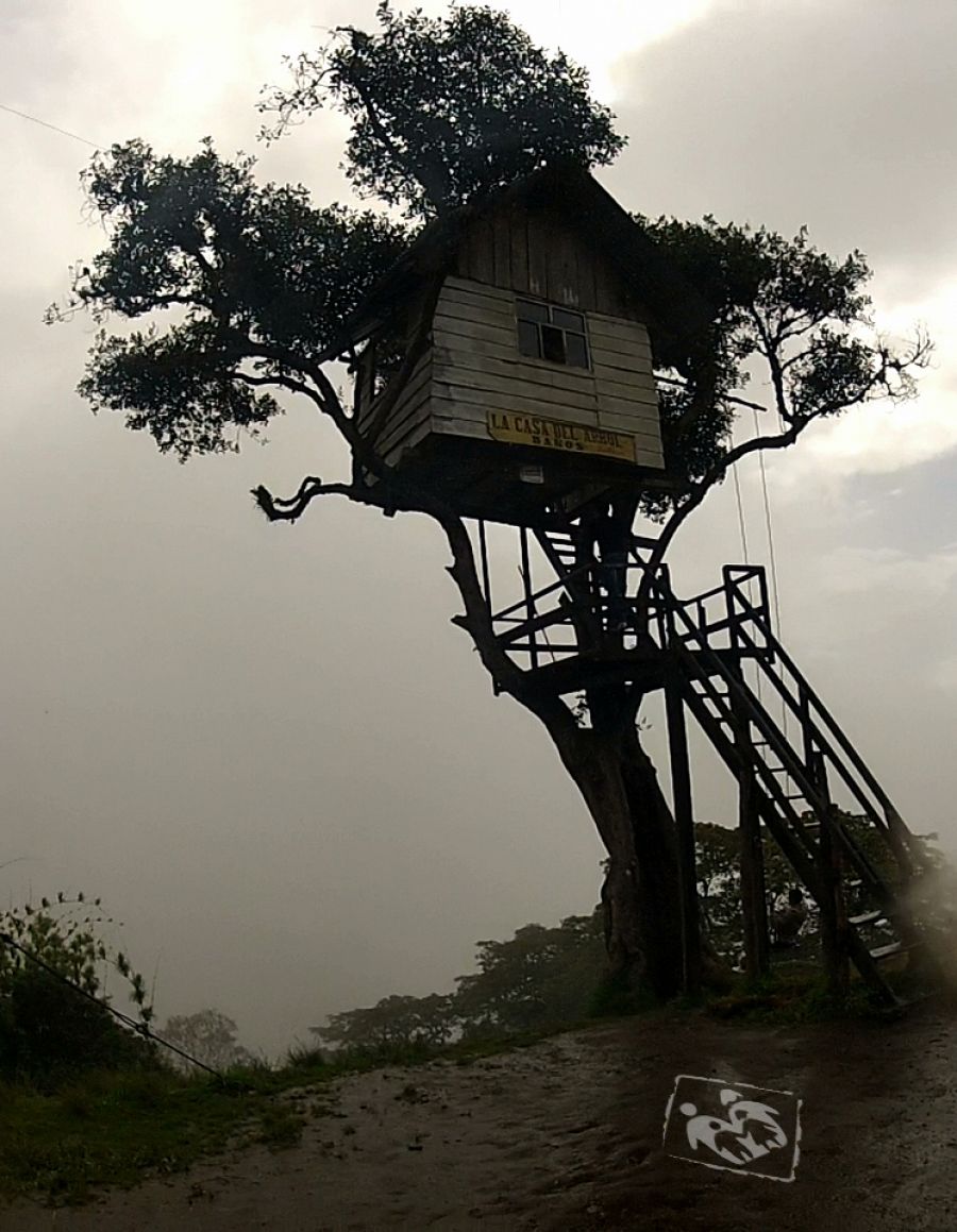 Casa del arbol