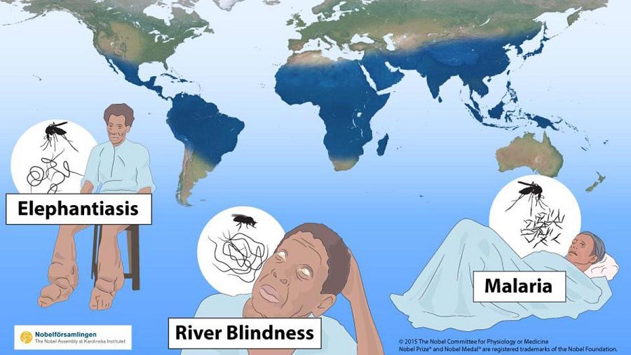 Las enfermedades parasitarias y la malaria afectan a 3.400 millones de personas.