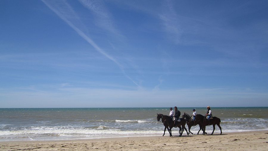 Edu Soto, paseo a caballo en Doñana