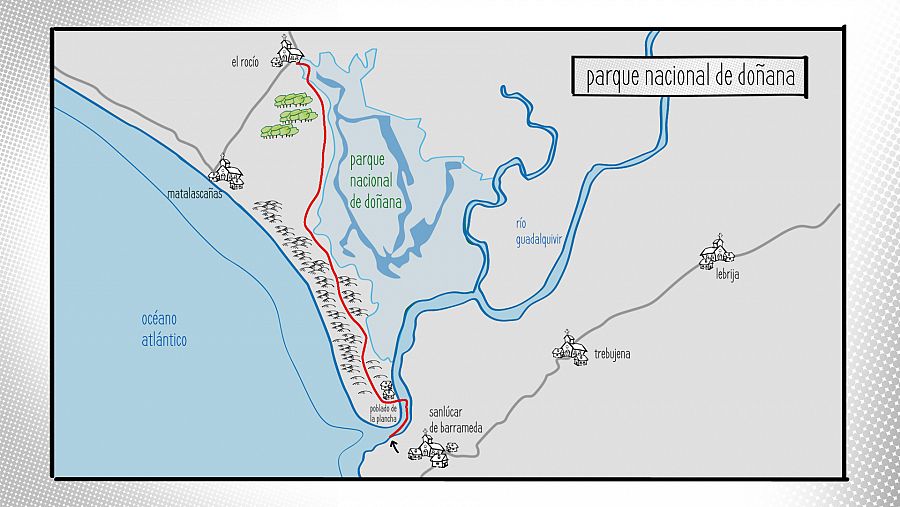 Parque Nacional de Doñana