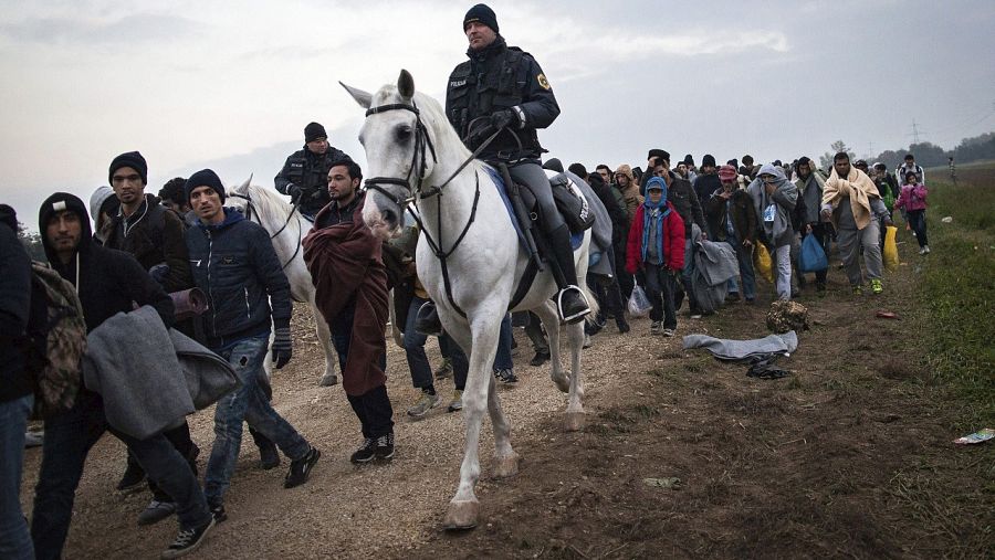 Un policía montado esloveno dirige a varios refugiados hacia los autobuses que les trasladaran a un campo de refugiados austriaco, en Rigonice, Eslovenia, el 27 de octubre del 2015. EFE/Maja Hitij