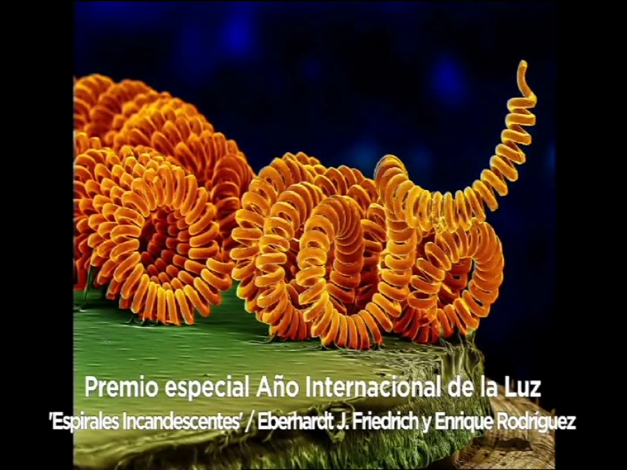 Fotociencia, imágenes para divulgar la ciencia