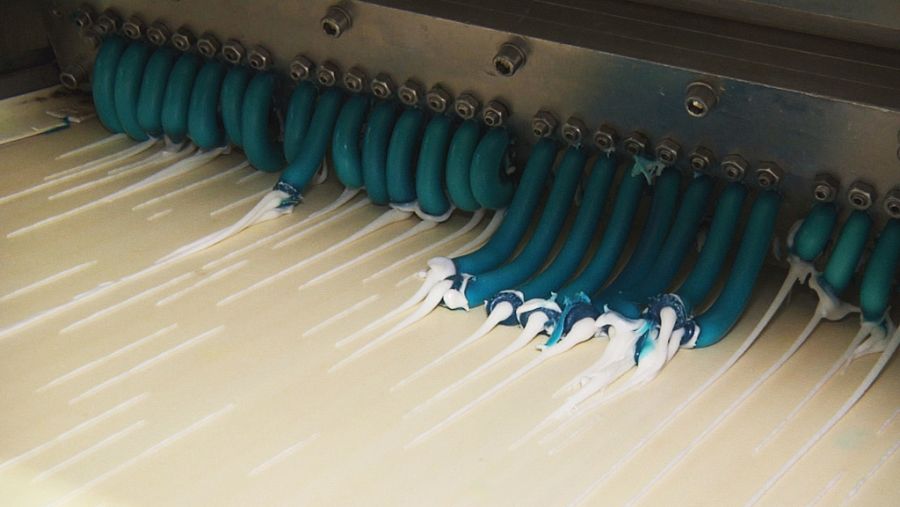 Fabricación de regalices