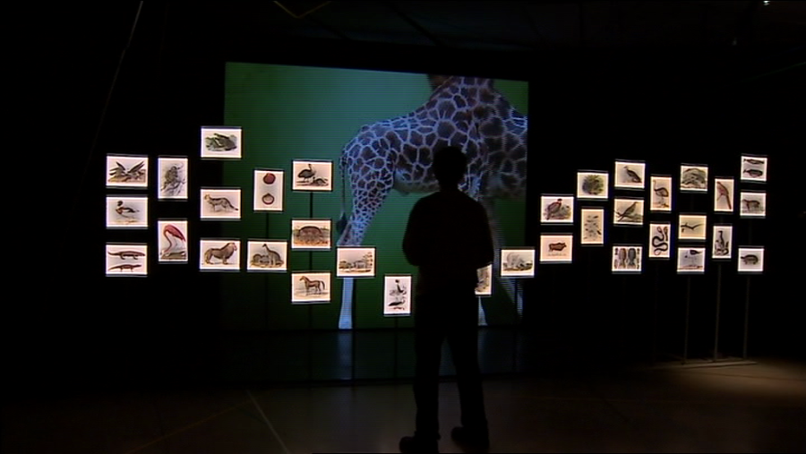 Uno de los itinerarios nos muestra el bestiario de Verne