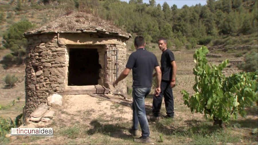 El grup Roqueta Origen ha recuperat la tècnica del vi de tina