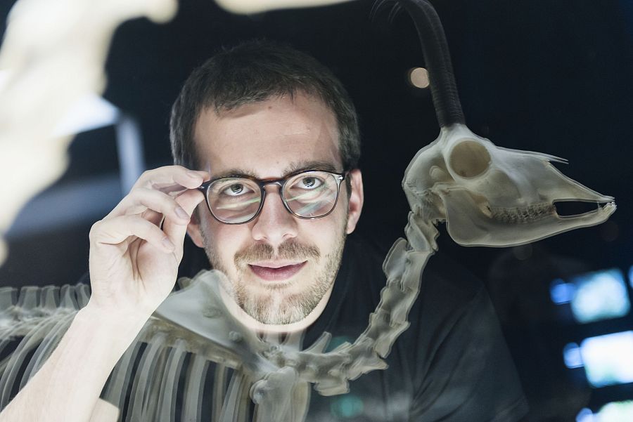 Òscar Cusó, idea original i guió animalades, al Museu Blau de Barcelona