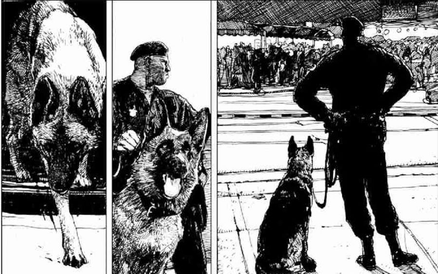 Viñetas de 'Bim Bom'