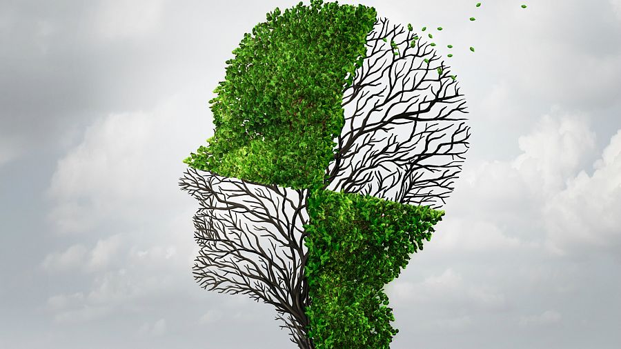 Árbol con forma de cabeza perdiendo las hojas