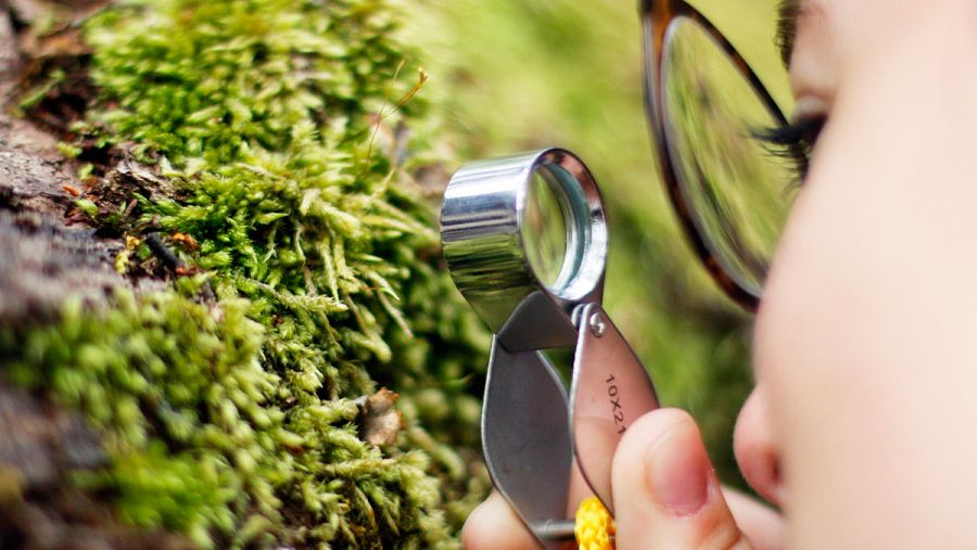 Una mujer observando con una lupa la biodiversidad durante una visita al Parque Etnobotánico Omora, en la ciudad de Puerto Williams (Chile)