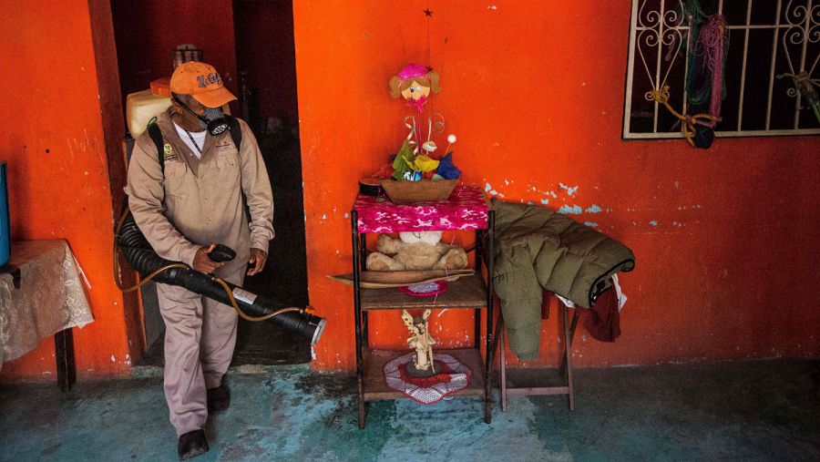 Un trabajador municipal fumiga una vivienda en Acapulco, México