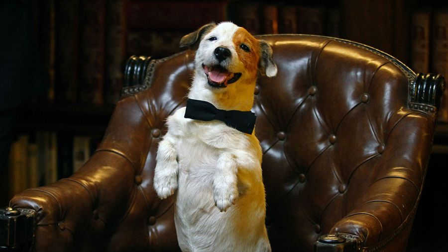 Pancho, el perro de La Primitiva