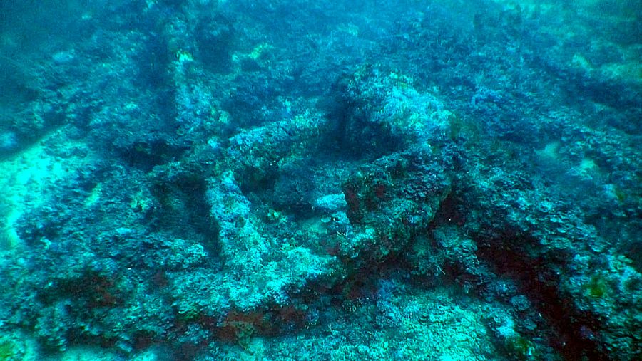 La datación de la madera los buques se realiza mediante el método de anillos de los árboles que indica la edad del tronco.