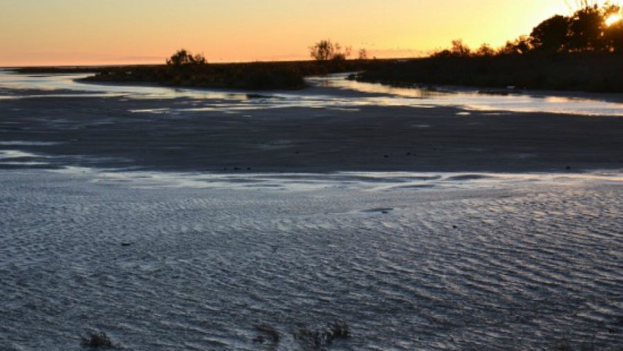 Atardecer en el delta del Ebro