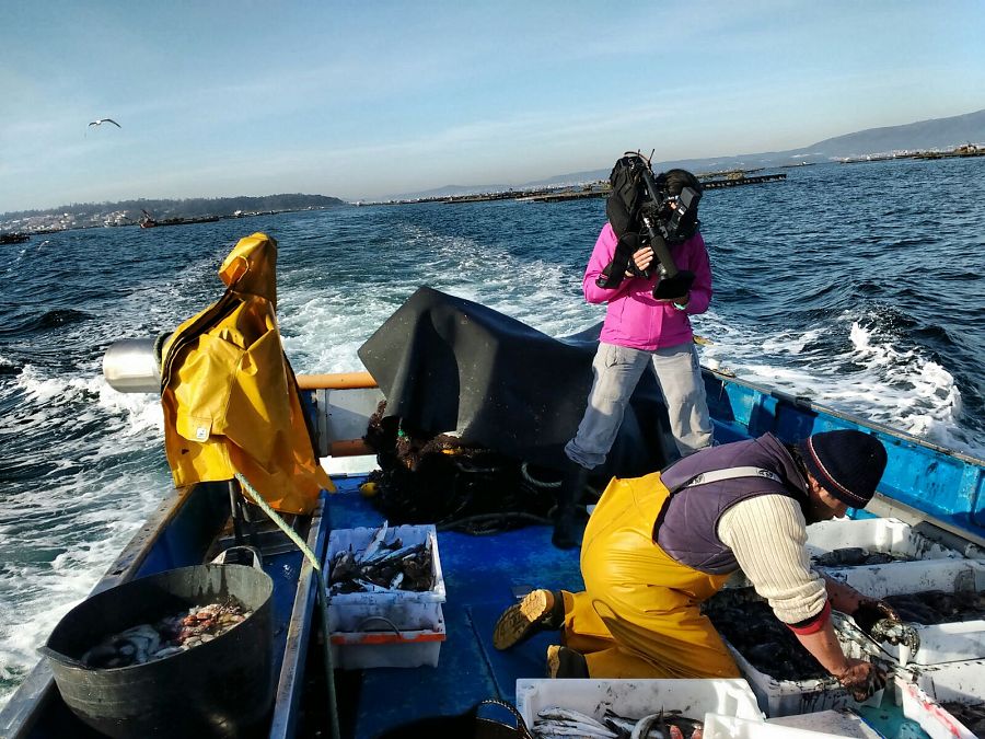 Selección del pescado de regreso a puerto